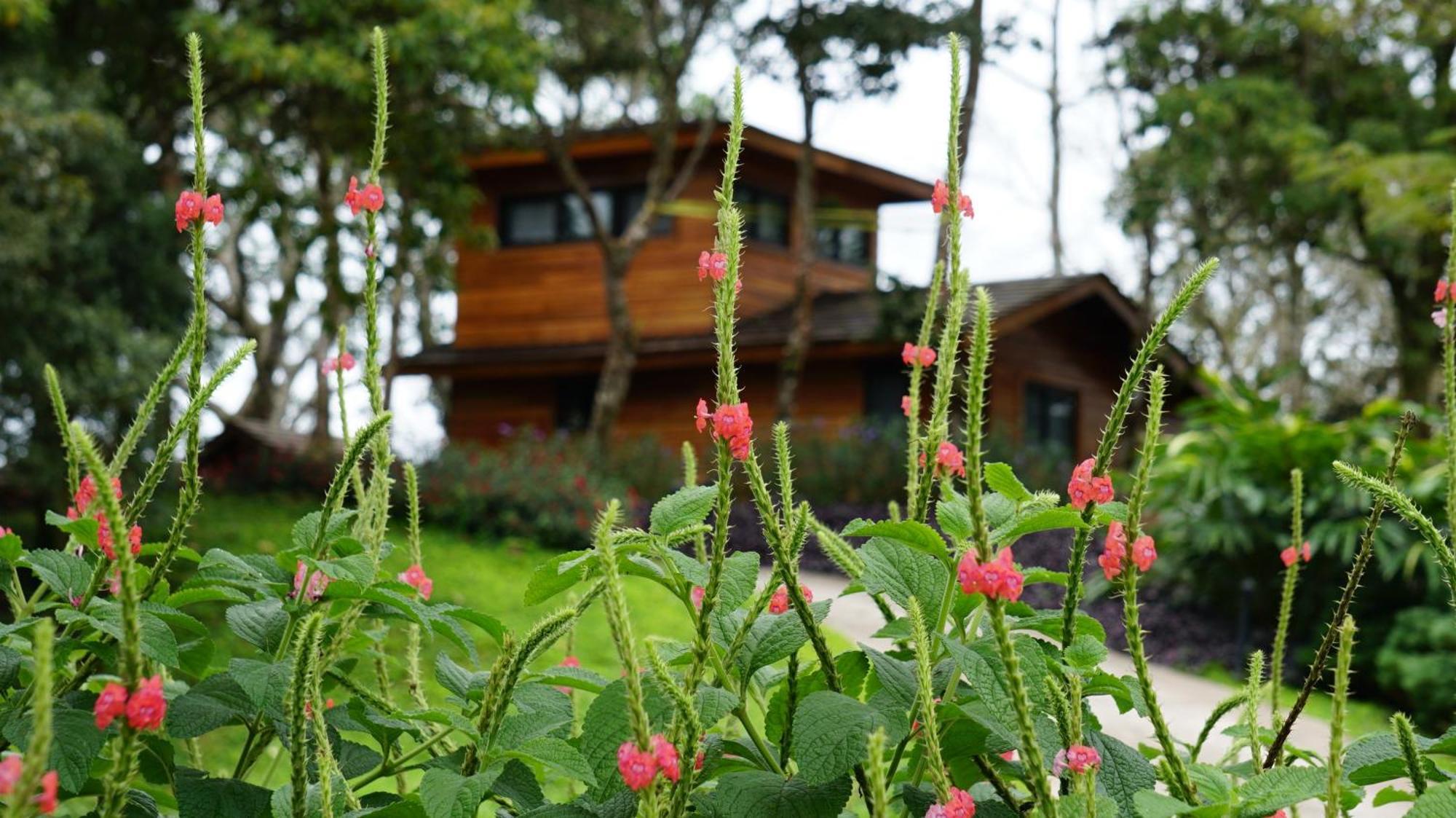Lucero Golf And Country Club Tree Houses Boquete Exterior photo